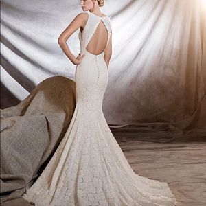 Pronovias designer wedding dress open back lace